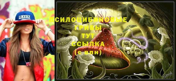 ALPHA-PVP Армянск
